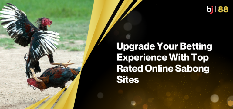 Upgrade Your Betting Experience With Top-Rated Online Sabong Sites